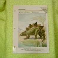 Stegosaurus - Informationskarte über