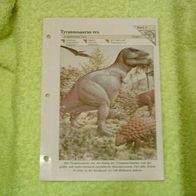 Tyrannosaurus rex - Informationskarte über