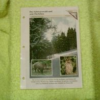 Der Schwarzwald und sein Tierleben - Informationskarte über