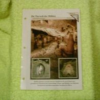 Die Tierwelt der Höhlen - Informationskarte über
