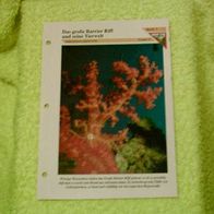 Das große Barrier Riff und seine Tierwelt - Informationskarte über