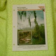 Die Everglades und ihre Tierwelt - Informationskarte über