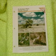 Die Kalahari-Wüste und ihre Tierwelt - Informationskarte über