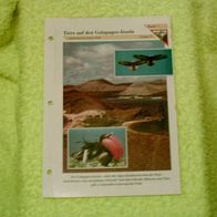 Tiere auf den Galapagos-Inseln - Informationskarte über
