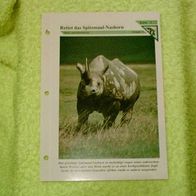 Rettet das Spitzmaul-Nashorn - Informationskarte über