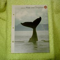 Schützt die Wale und Delphine - Informationskarte über