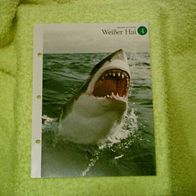 Weißer Hai - Informationskarte über
