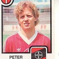 Panini Fussball 1984 Peter Hermann Bayer Leverkusen Bild 210