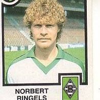 Panini Fussball 1984 Norbert Ringels Borussia Mönchengladbach Bild 266