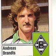 Panini Fussball 1987 Andreas Brandts Borussia Mönchengladbach Bild Nr 239