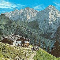 A 6380 St. Johann - Hinterkaiserfeldenalm Panorama Tirol