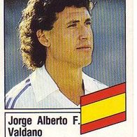 Panini Fussball 1987 Jorge Alberto F. Valdano Real Madrid Bild Nr 420