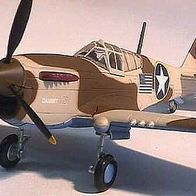 1:48 P-40 Warhawk "Dammit" Franklin Mint - aus Metall