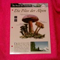 Die Pilze der Alpen (Pfl-K) - Informationskarte über