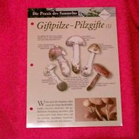 Giftpilze - Pilzgifte (1) (Pfl-K) - Informationskarte über