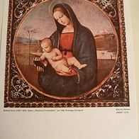 Bild von Raffaelo Santi "Madonna Conestabile", 1500