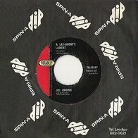 Joe Brown - A Lay About´s Laments / A Picture Of You - 7" - Piccadilly 7N.35047 (UK)