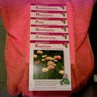 10 Sammelkarten - Mein Blumengarten (Pfl-K)