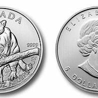 Silber Kanada 5 Dollars 2012 "PUMA"