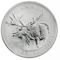 Silber Kanada 5 Dollars 2012 "MOOSE" Elch