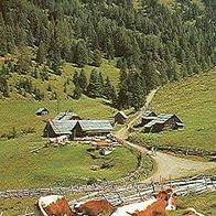 A 9544 Feld am See Jausenstation Weger - Hütte Rauth 19