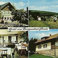 95485 Warmensteinach - Fleckl im Fichtelgebirge Berggasthof 4 Ansichten 1993