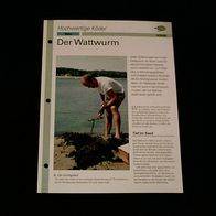 Der Wattwurm - Infokarte über