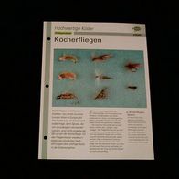 Köcherfliegen - Infokarte über
