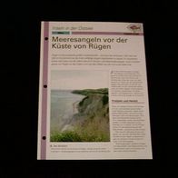 Meeresangeln vor der Küste von Rügen - Infokarte über