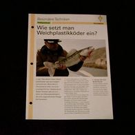 Wie setzt man Weichplastikköder ein? - Infokarte über