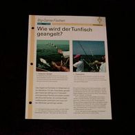 Wie wird der Tunfisch geangelt? - Infokarte über