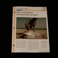 Den herrlichen Umberfisch angeln - Infokarte über