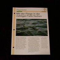 Mit der Fliege in der richtigen Tiefe fischen - Infokarte über