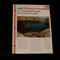 Im Hochgebirgssee die Fische finden - Infokarte über