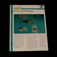 Fünf Lachsfliegen - Infokarte über