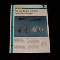 Kleine Bleie für die Posenmontage - Infokarte über