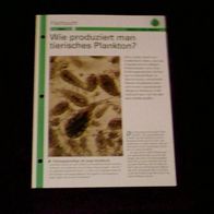 Wie produziert man tierisches Plankton? - Infokarte über