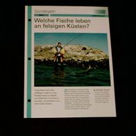 Welche Fische leben an felsigen Küsten? - Infokarte über