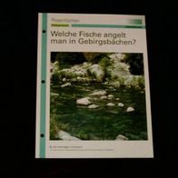 Welche Fische angelt man in Gebirgsbächen? - Infokarte über