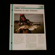 Hechte in der Ostsee - Infokarte über