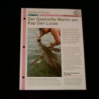 Der Gestreifte Marlin am Kap San Lucas - Infokarte über