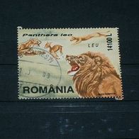 Rumänien, MNr.5538 aus Block 316, Löwen auf der Jagd
