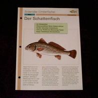 Der Schattenfisch - Infokarte über