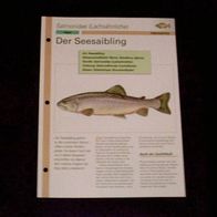 Der Seesaibling - Infokarte über