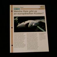 Welche Haie gibt es an europäischen Küsten? - Infokarte über