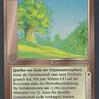 Middle Earth CCG (MECCG) - Gute Reise in der Wildnis - METW
