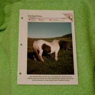 Shetland-Pony - Informationskarte über