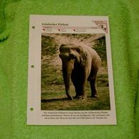 Asiatischer Elefant - Informationskarte über
