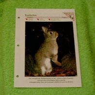 Kaninchen - Informationskarte über