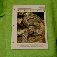 Texas-Klapperschlange - Informationskarte über